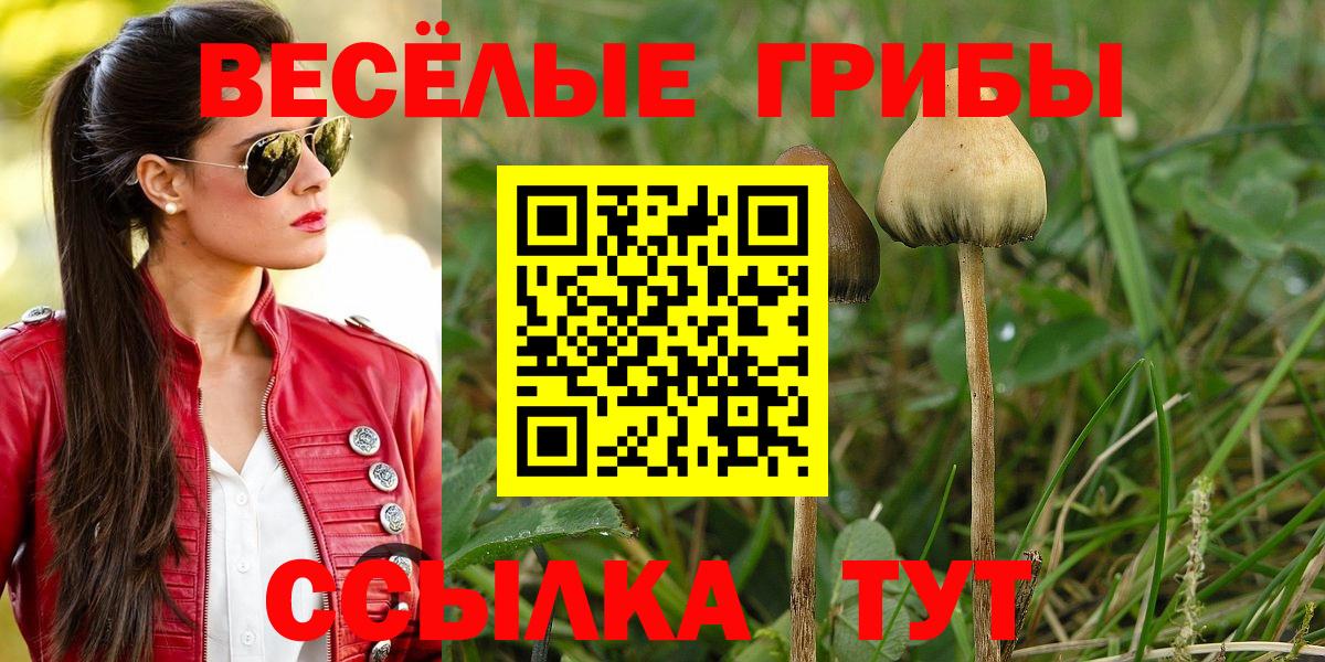 Псилоцибиновые грибы Cubensis  Вход с VPN  Заречный 